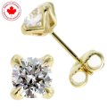 1.50ct tw Round Diamond Studs in 14K Yellow Gold (image for) 1.50ct tw Round Diamond Studs in 14K Yellow Gold