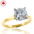 1.50ct Round Brilliant Diamond Solitaire Ring in 14K Yellow (image for) 1.50ct Round Brilliant Diamond Solitaire Ring in 14K Yellow